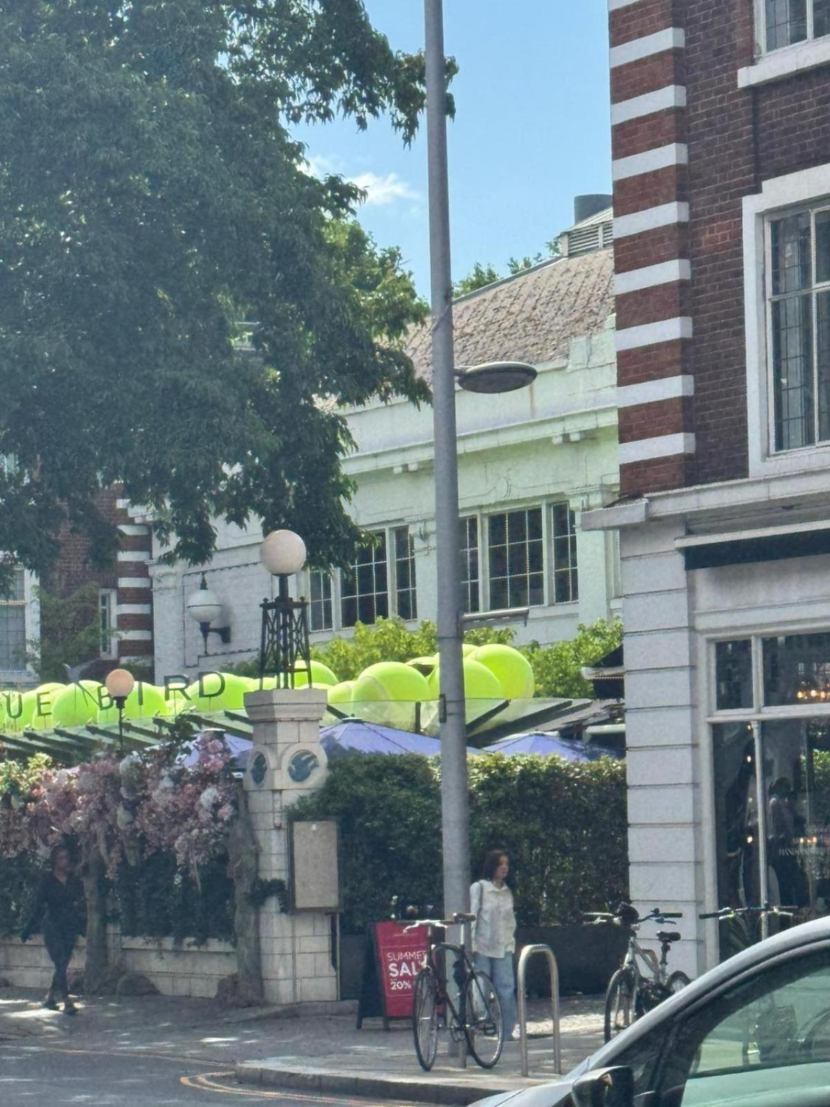 Gorgeous Sunny Chelsea *